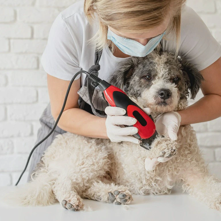 Strzyżenie psa maszynką